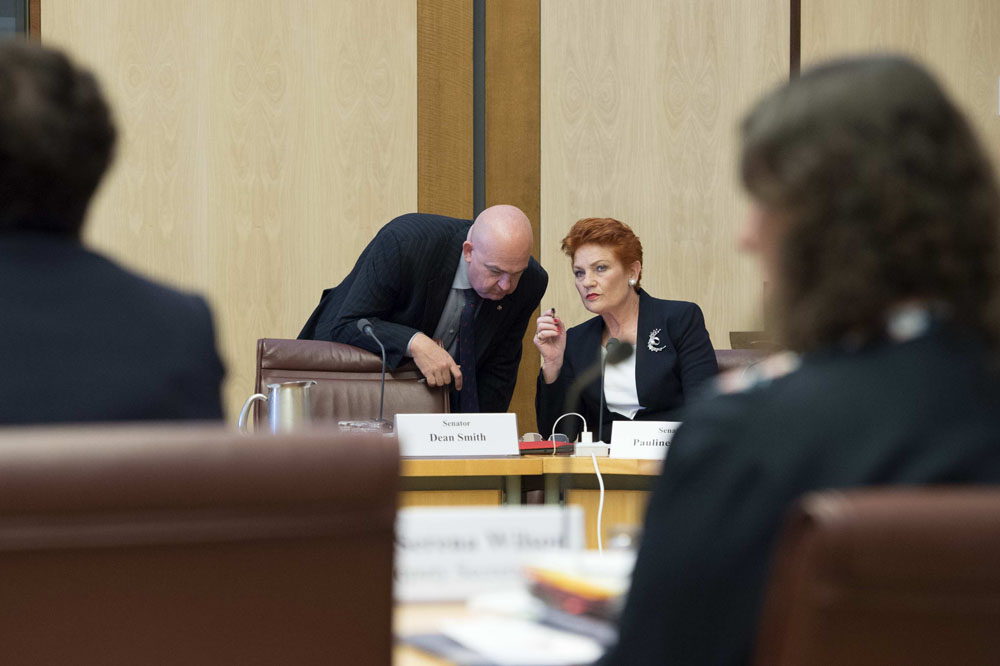 Community Affairs Legislation Committee chair Senator Slade Brockman speaking with committee member Senator Pauline Hanson, 25 October 2017. DPS Auspic.