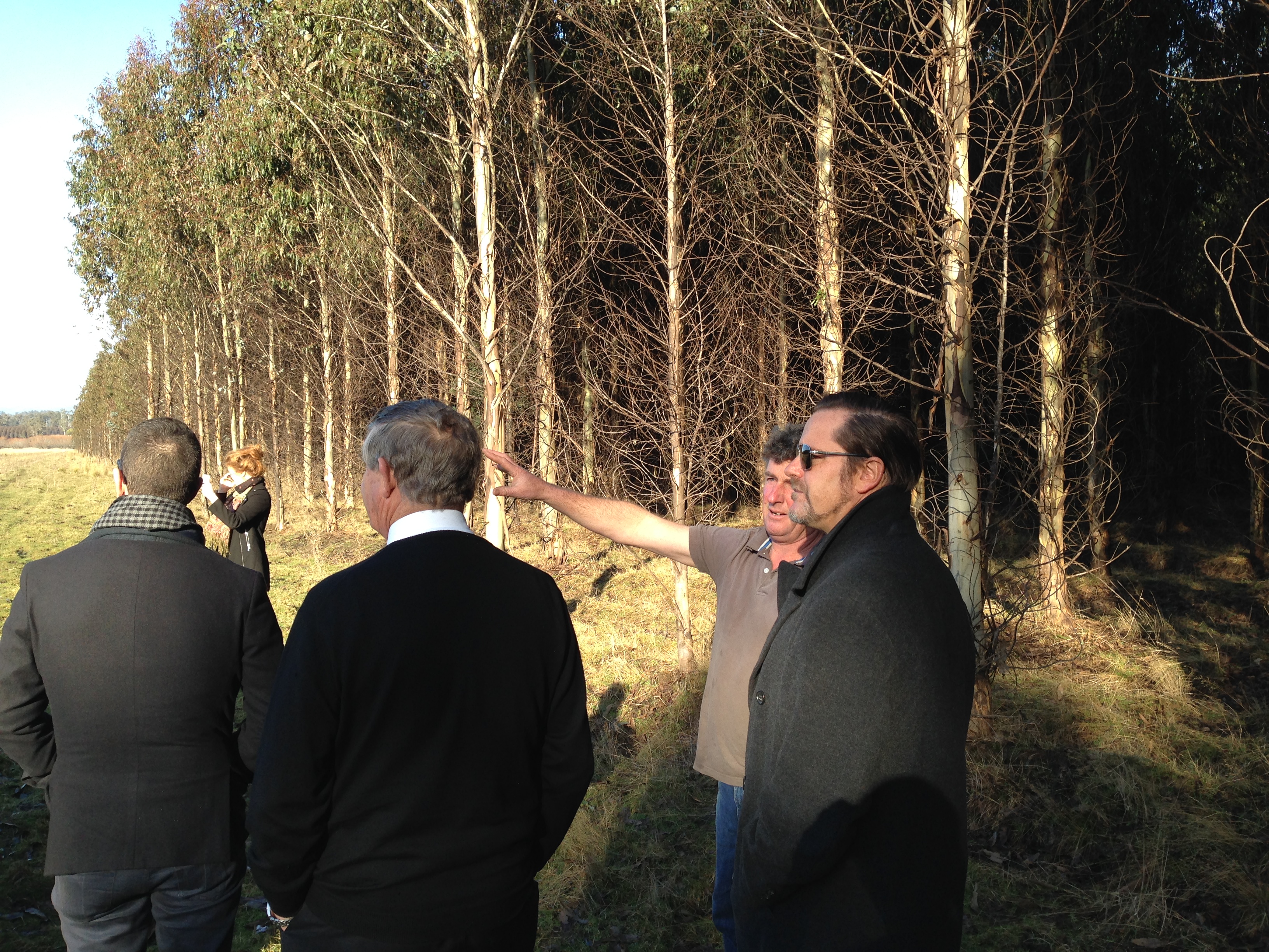The committee visit to a plantation outside Launceston, Tas, 5 August 2015.