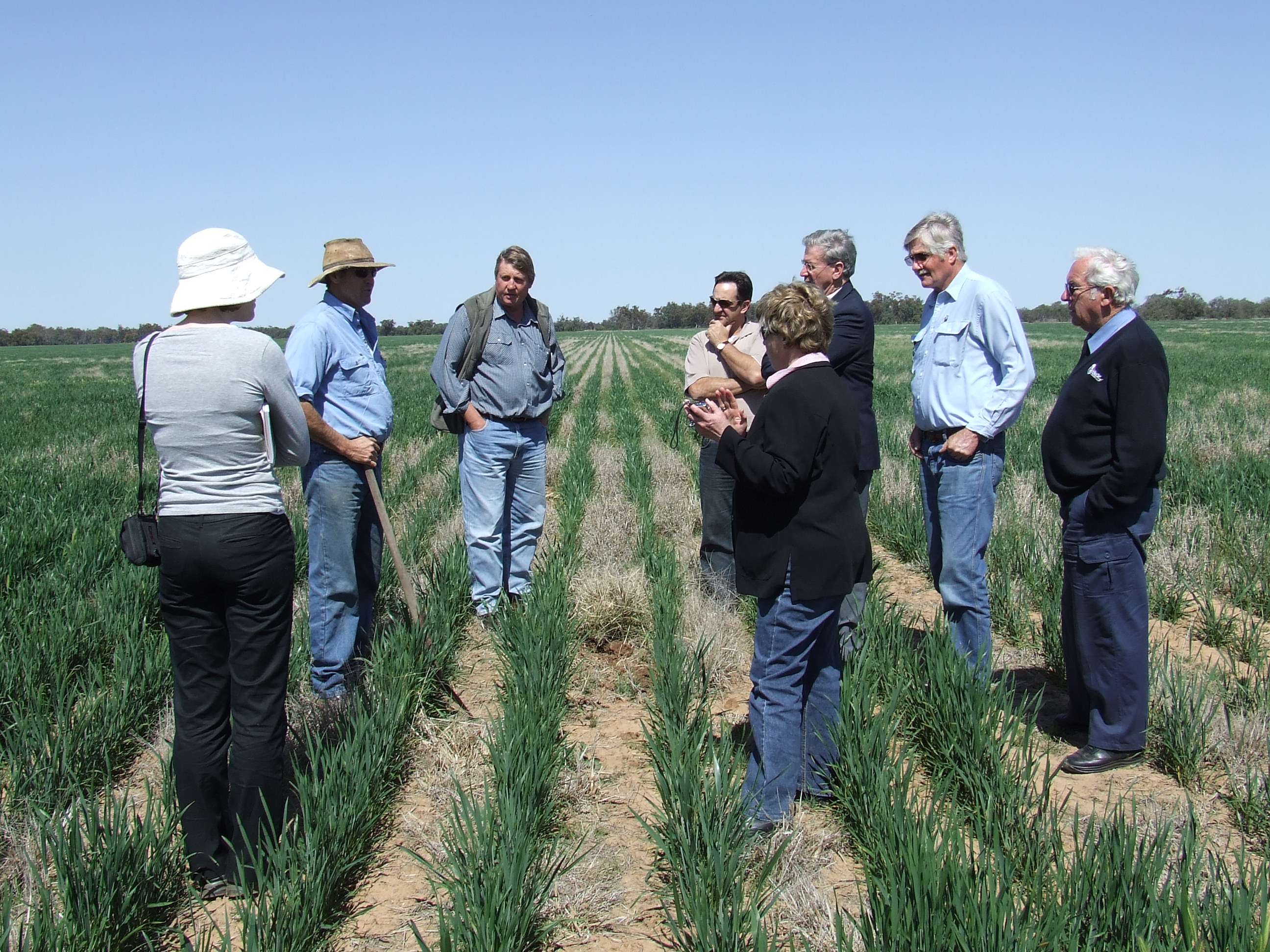 Committee members and officers from the Warren Shire Council on a site visit inspecting Scott and Jo McCalman's property, 'Jedburgh', to see the work being done there in conjunction with the Australian Soil Carbon Accreditation Scheme, using perennial groundcover to improve wheat field soil, 12 September 2008. L-R: Ann Palmer [Principal Research Officer], Scott McCalman, Ashley Wielinga [General Manager, Warren Shire Council], Senators Glenn Sterle, Christine Milne and Kerry O'Brien, Councillor Rex Wilson [Mayor, Warren Shire Council] and unknown.